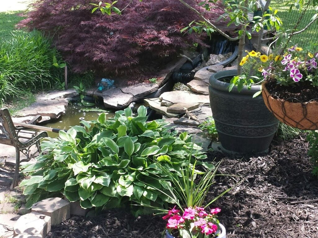 a garden filled with lots of different types of flowers